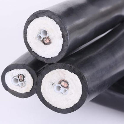 CEMS防腐伴熱采樣復(fù)合管