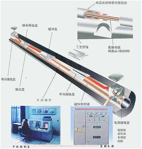 16567561331797.jpg 605d5fa86b0f0.jpg