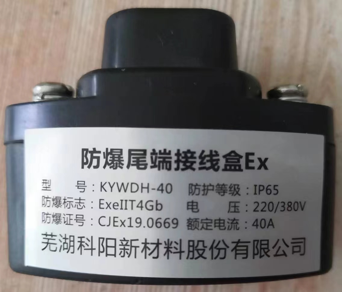 防爆尾端接線盒