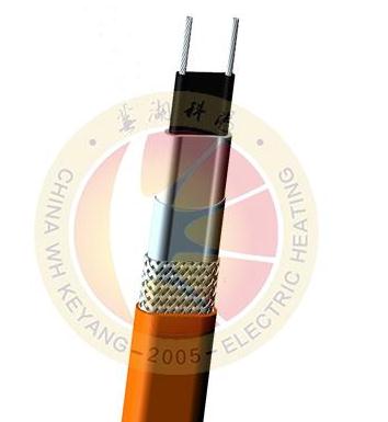 遼河油田考察團蒞臨蕪湖科陽考察指導(dǎo)工作